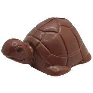 TORTUE 110g